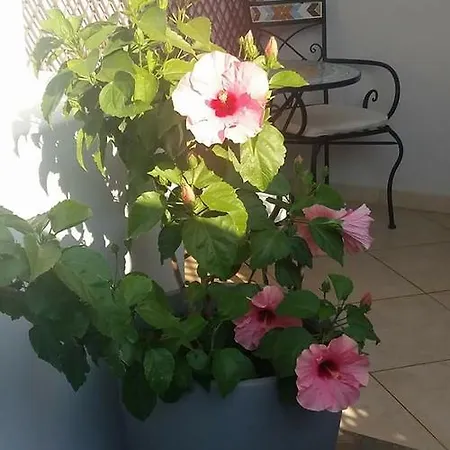 Σπίτι διακοπών Castri Village Kythira Quality