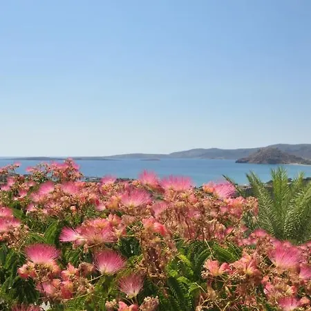 Castri Village Kythira Quality * Agia Pelagia (Kythira)